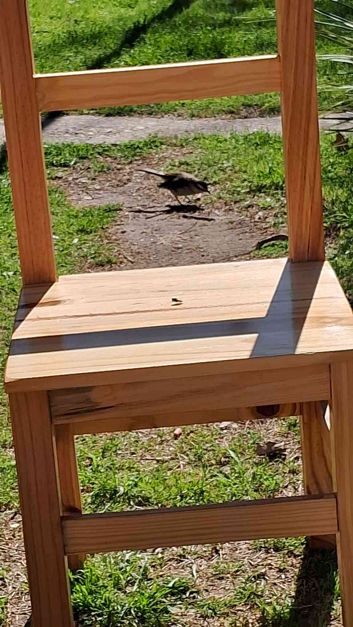 una abeja posada en una silla