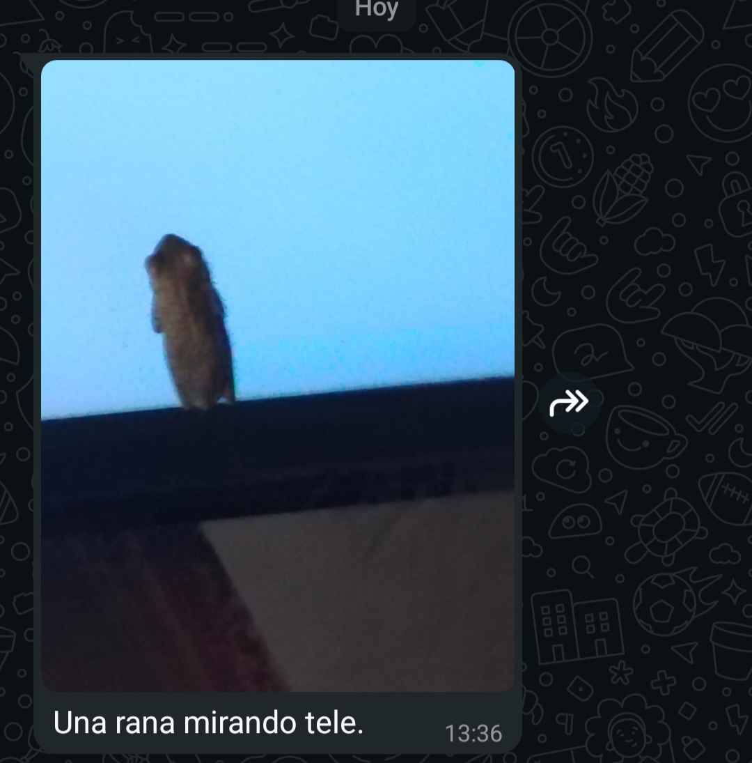Una ocurrencia graciosa de mi papá